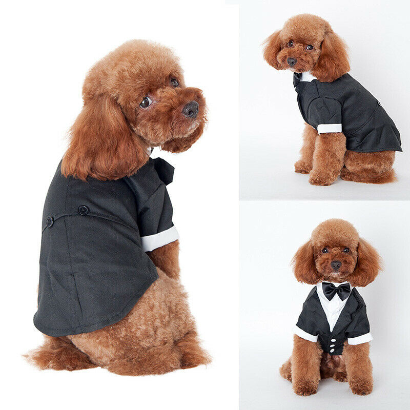 Dog Cat Wedding Party Costume Suit Puppy Prince Tuxedo Bow Tie Pet Coat Clothes