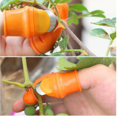 Fruit Picker Tip Picker Iron Nail