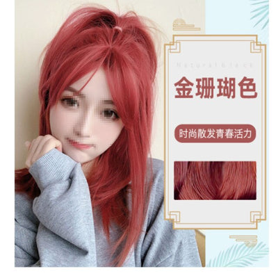 Fashion Hair Dyeing Comb Natural Organic Hair Dye Comb At Home Plant Hair Dye Shampoo Hair Dye Brush Energetic Color Hair Cream