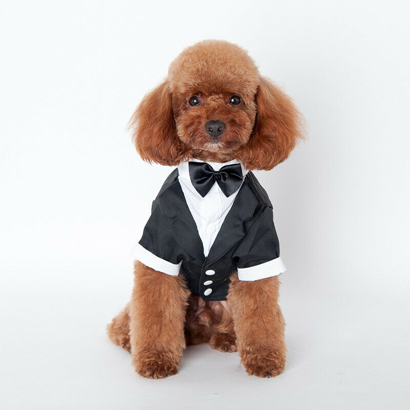 Dog Cat Wedding Party Costume Suit Puppy Prince Tuxedo Bow Tie Pet Coat Clothes