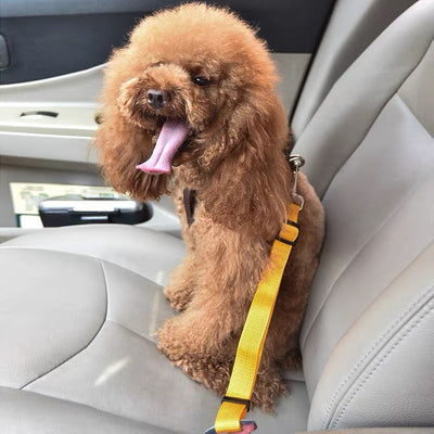 Pet Dog Cat Car Seat Belt Adjustable Harness Lead Leash Pet Supplies