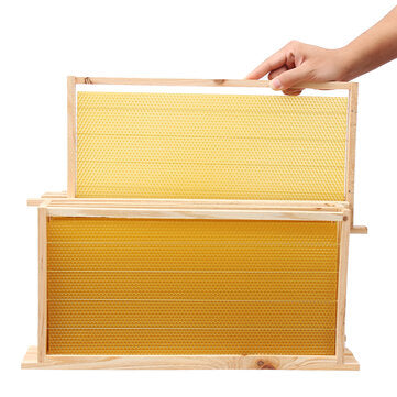 Wax Foundation Sheets Wood Beekeeping Pine Beehive Frame