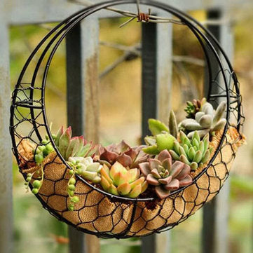 Hanging Flower Pot Iron Wall Succulent Planters