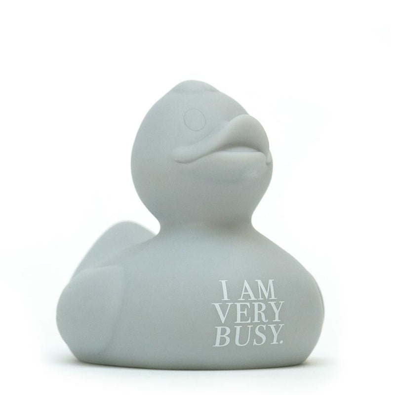 Wonder Duck