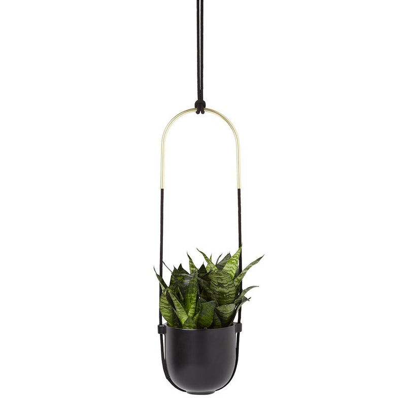 Bolo Hanging Planter