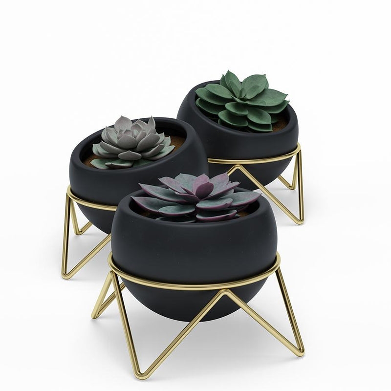 Potsy Planter Set