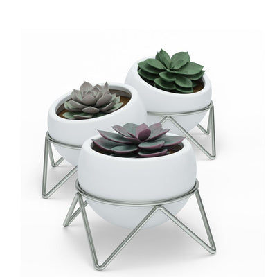 Potsy Planter Set