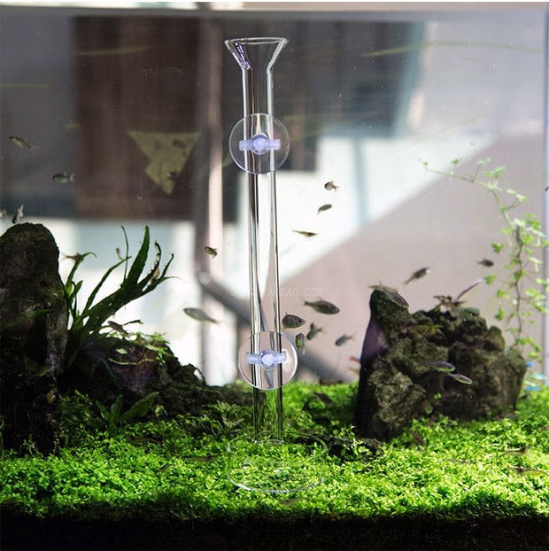 Glass Aquarium Feeder Tube Dish Transparent Fish Tank Shrimp Snail Food Feeder Bowl Aquarium Feeding Accessories