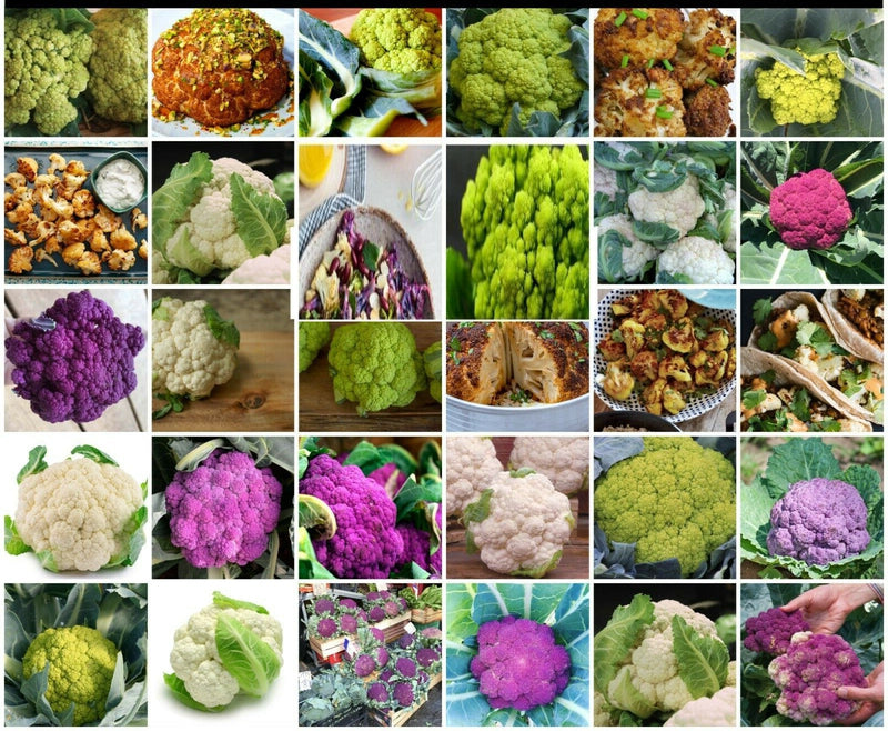 Cauliflower Seeds Heirloom Mix 70+ Seeds vegetable (All types/Mixed) Winter