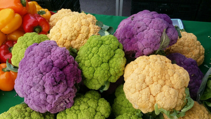 Cauliflower Seeds Heirloom Mix 70+ Seeds vegetable (All types/Mixed) Winter