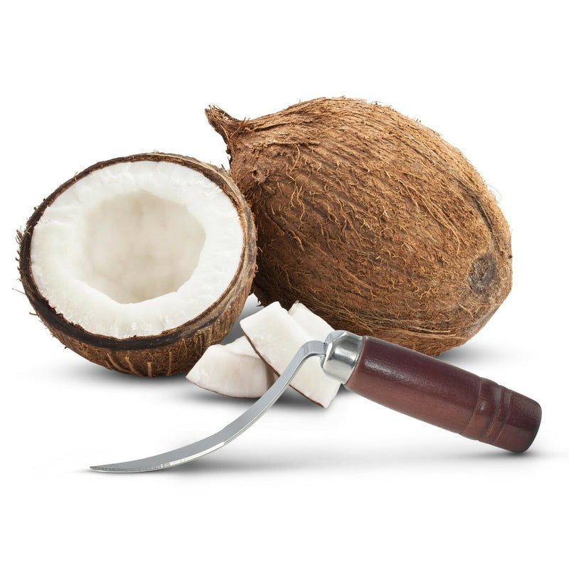 Coconut Meat Removal Tool