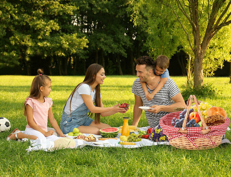 Picnic Basket Deluxe Willow Baskets