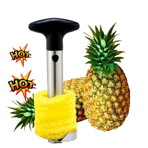 Easy Kitchen Tool Fruit Pineapple Corer Slicer