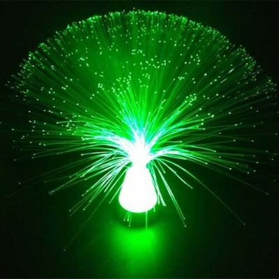 Colour Changing LED Fibre Optic Lamp Crystal Fountain Night Light Home Decor AU