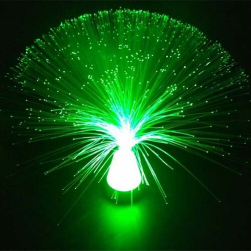 Colour Changing LED Fibre Optic Lamp Crystal Fountain Night Light Home Decor AU