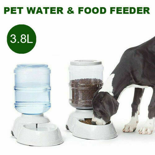 Automatic 3.8L Water Feeder Food Pet Dog Cat