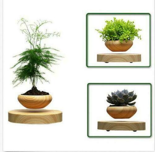 Magnetic Levitation Air Bonsai Suspension Levitating Flower Pot Plant LED SA